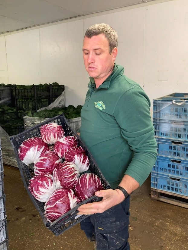 Chris holding the radicchio in a box