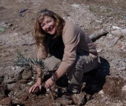Carol Drinkwater