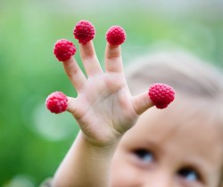 Raspberry fingers