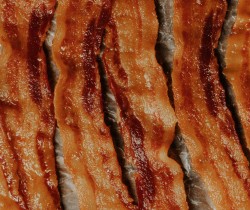 bacon