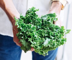 Kale