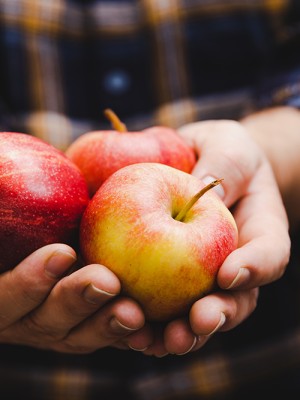 man holding apples in his hands wearing flannel, farm produce and agriculture lifestyle concept